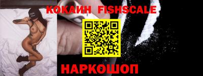 индика Нальчик