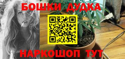индика Нальчик