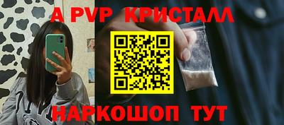 индика Нальчик