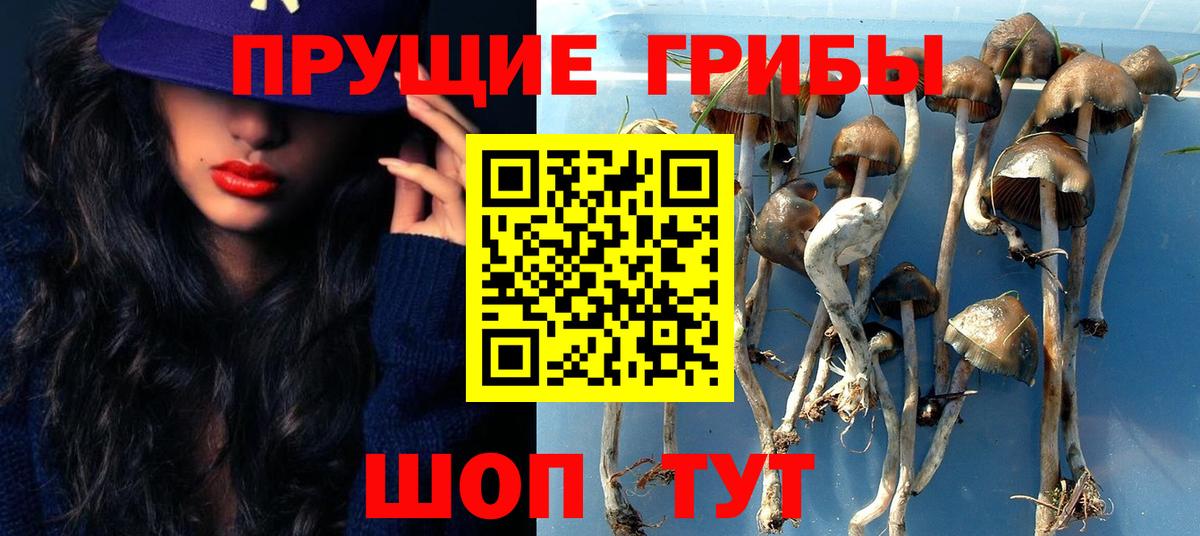 Галлюциногенные грибы GOLDEN TEACHER  Псилоцибиновые грибы мухоморы  Вход с VPN  Чехов 