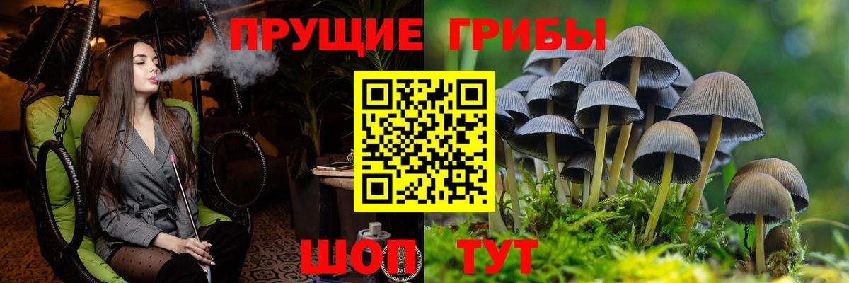 Псилоцибиновые грибы MAGIC MUSHROOMS Чехов